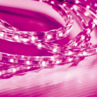 Fita Led Taschibra 5w/m Ip67 220v Alta Proteção Cores | Valor